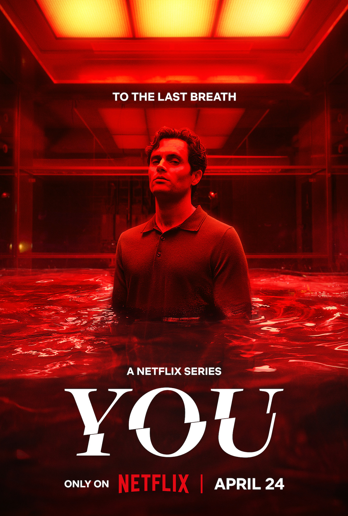 Download You (Season 5) WEB-DL Hindi ORG Dubbed Complete NetFlix Full Movie 1080p | 720p | 480p download